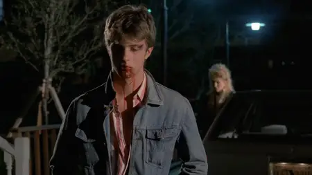 Karate Warrior 2 (1988)