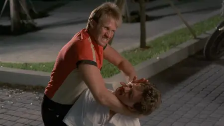 Karate Warrior 2 (1988)