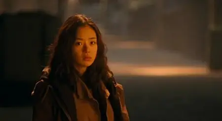 Paju (2009)