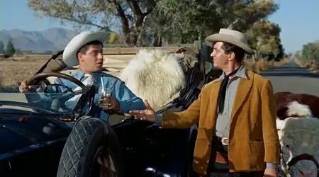 Pardners (1956)