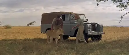 Born Free - 1966