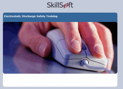 SkillSoft Course Importing and Exporting Data and Data Presentation in Access 2007 v1.4
