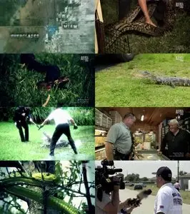 Animal Planet - Swamp Wars: Snake Farm Shootout (2011)