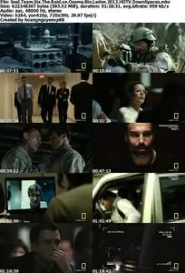 Seal Team 6: The Raid on Osama Bin Laden (2012) HDTV