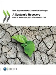 A Systemic Recovery