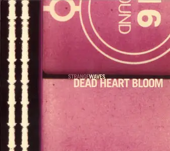 Dead Heart Bloom – Studio Albums & EP Collection 2006-2010 [6CD]