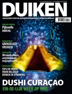 Duiken – november 2020