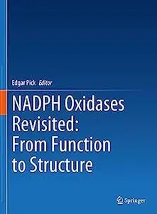 NADPH Oxidases Revisited: From Function to Structure