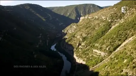 (Fr3) Des racines et des ailes - Passion patrimoine : Au fil du Tarn (2015)