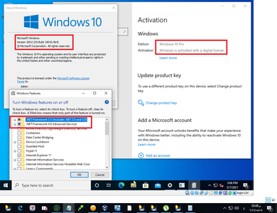 Windows 10 Pro 20H2 10.0.19042.964 (x86/x64) Multilingual Preactivated May 2021