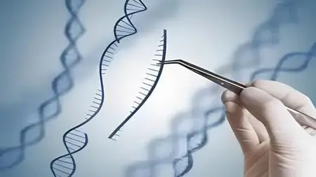 Recombinant Dna Technology & Genetic Engineering