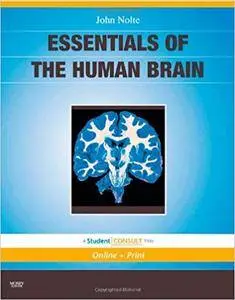 Essentials of the Human Brain