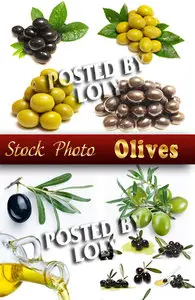Olives, Oil - Stock Photo