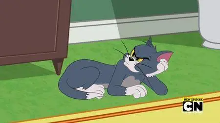 The Tom and Jerry Show S02E03c (2016)