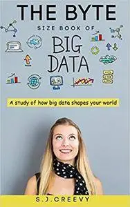 The Byte Size Book of Big Data: A study of how big data shapes your world