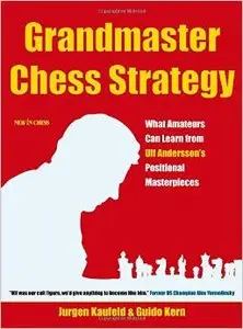 Grandmaster Chess Strategy: What Amateurs Can Learn from Ulf Andersson's Positional Masterpieces by Jurgen Kaufeld