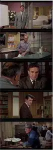 Written on the Wind (1956)