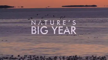 CBC - The Nature of Things with David Suzuki: Nature's Big Year (2021)