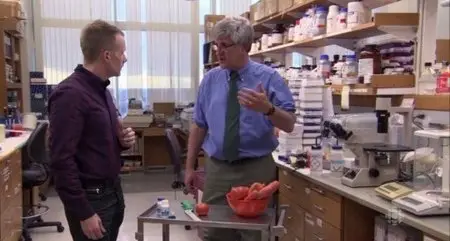 CBC - The Nature of Things: The Curious Case of Vitamins and Me (2015)