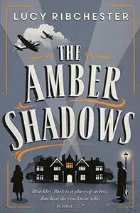 The Amber Shadows: A Novel