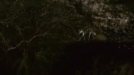 Dead by Dawn S01E01