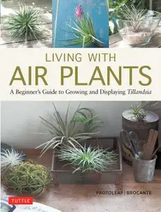 Living with Air Plants: A Beginner's Guide to Growing and Displaying Tillandsia