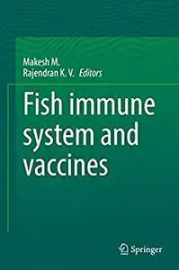 Fish immune system and vaccines