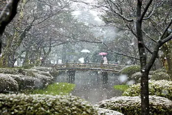 The nature in the beauty