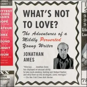 What's Not to Love?: The Adventures of a Mildly Perverted Young Writer [Audiobook]