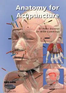 Anatomy for Acupuncture