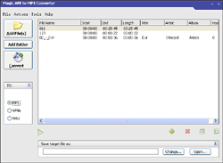 MagicVideo Magic APE FLAC CD Burner.v1.0