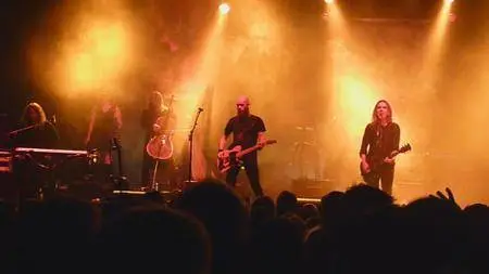 New Model Army – Between Wine And Blood Live (2015) [DVD5]