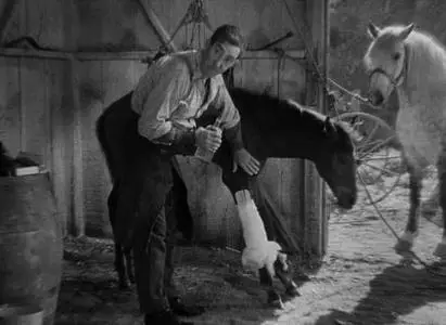 John Ford - Judge Priest (1934)