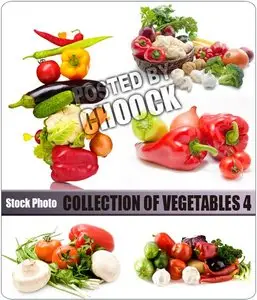 Collection of vegetables 4 - Stock Photo