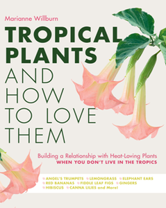 Tropical Plants and How to Love Them