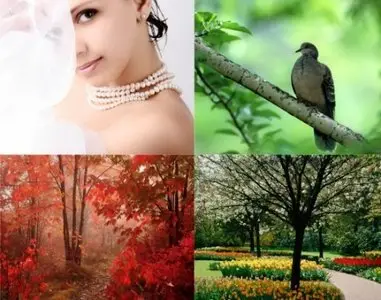 Natural Beauty Wallpapers Pack #1