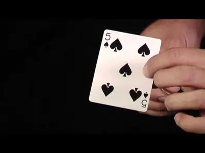 Showoff with Coins