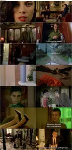 Dream Kiss / El beso del sueño (1992)