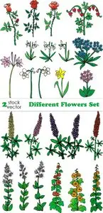 Vectors - Different Flowers Set