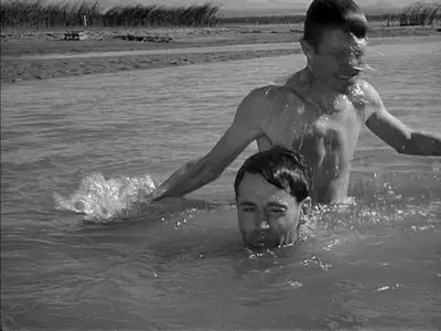 The Grapes of Wrath (1940) [Re-UP]
