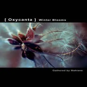 V.A. - Oxycanta Vol. 1-2 (2006-2007) (Repost)