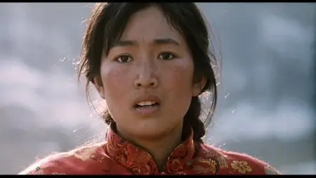 The Story of Qiu Ju (1992)