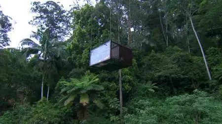 I'm a Celebrity Get Me Out of Here! S17E16