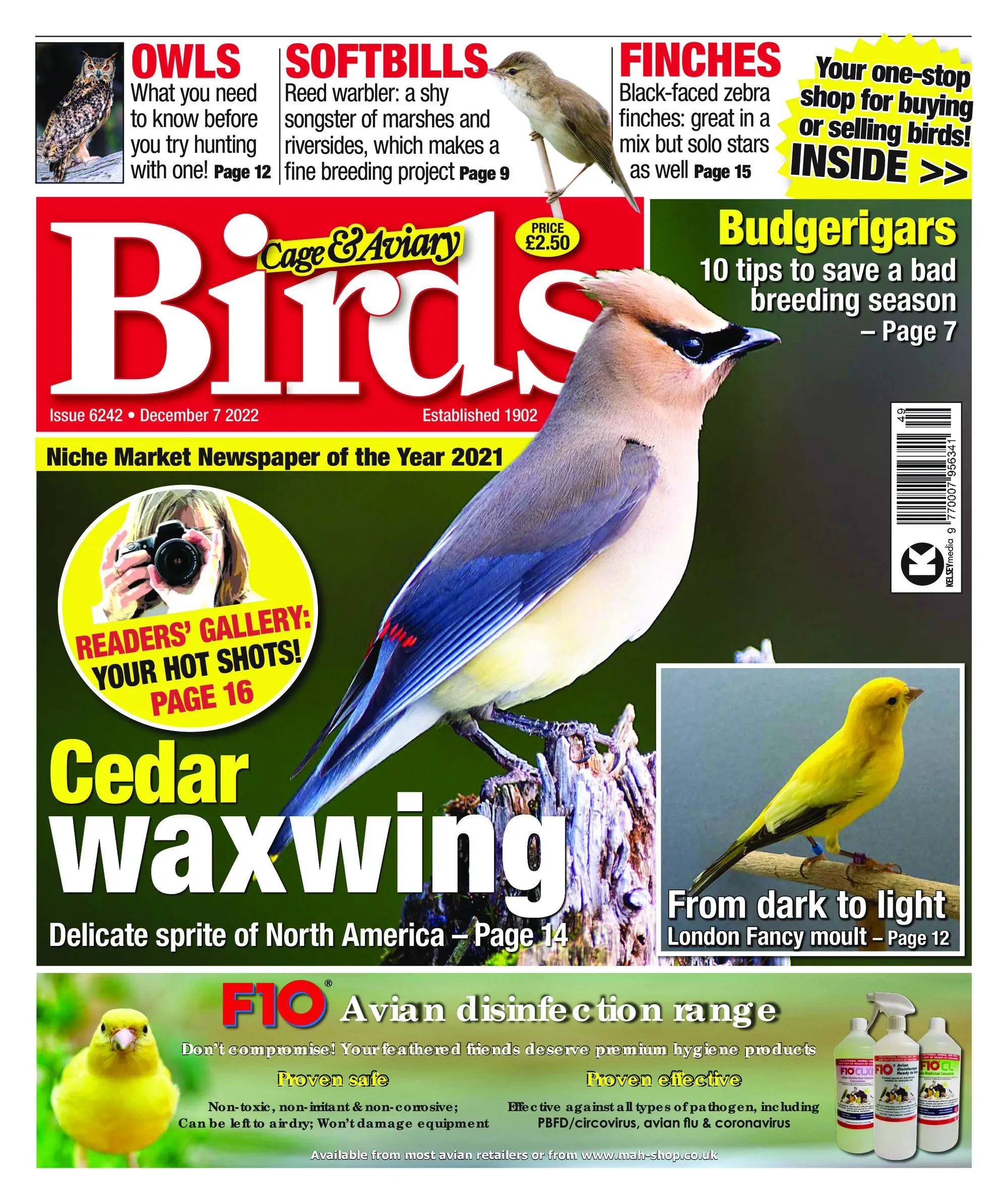 Cage & Aviary Birds – 07 December 2022