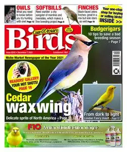 Cage & Aviary Birds – 07 December 2022