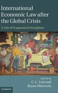 International Economic Law after the Global Crisis: A Tale of Fragmented Disciplines