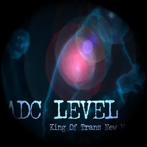 Adc Level - CD 40: 2006-2009