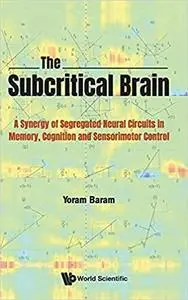 The Subcritical Brain: A Synergy of Segregated Neural Circuits in Memory, Cognition and Sensorimotor Control