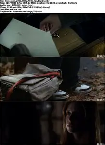Possession (2009)