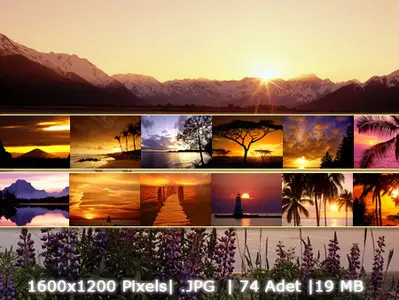 Sunset Wallpapers